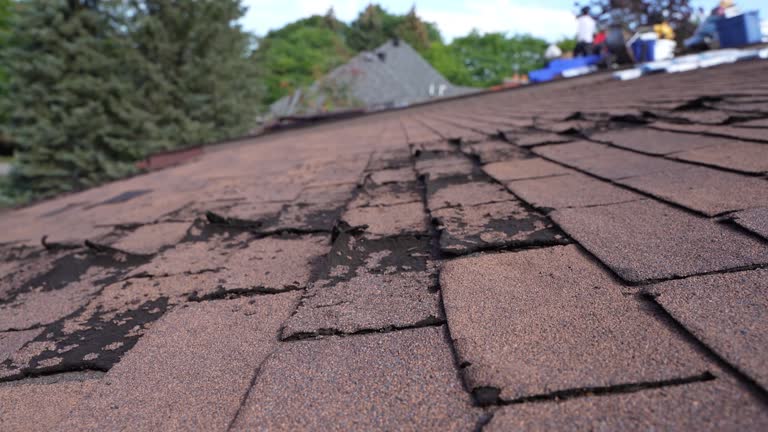 Best Commercial Roofing Services  in Elliston, VA
