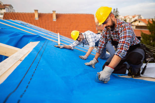 Best Roof Ventilation Installation  in Elliston, VA
